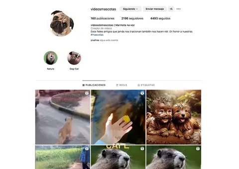 Venta de Cuenta de Instagram de Videos de Mascotas / Animales con 2200 seguidores