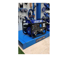 Generador Eléctrico  Muzin 1300W Max (Planta electrica)